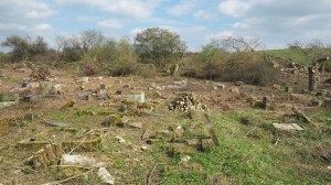 2-Revitalizace zdevastovaného hřbitova ve Svatoboru 